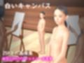 白いキャンバス