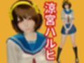 涼宮ハルヒのエチエチ物語動画2本セット  〜セミリアルバージョン〜
