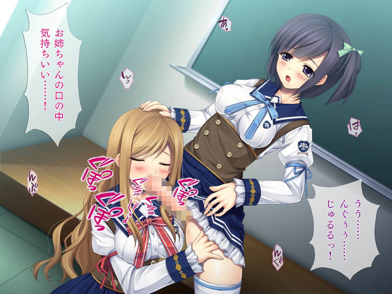 サンプル画像4:フタナリな妹とシスコンな姉(TGA) [d_560649]