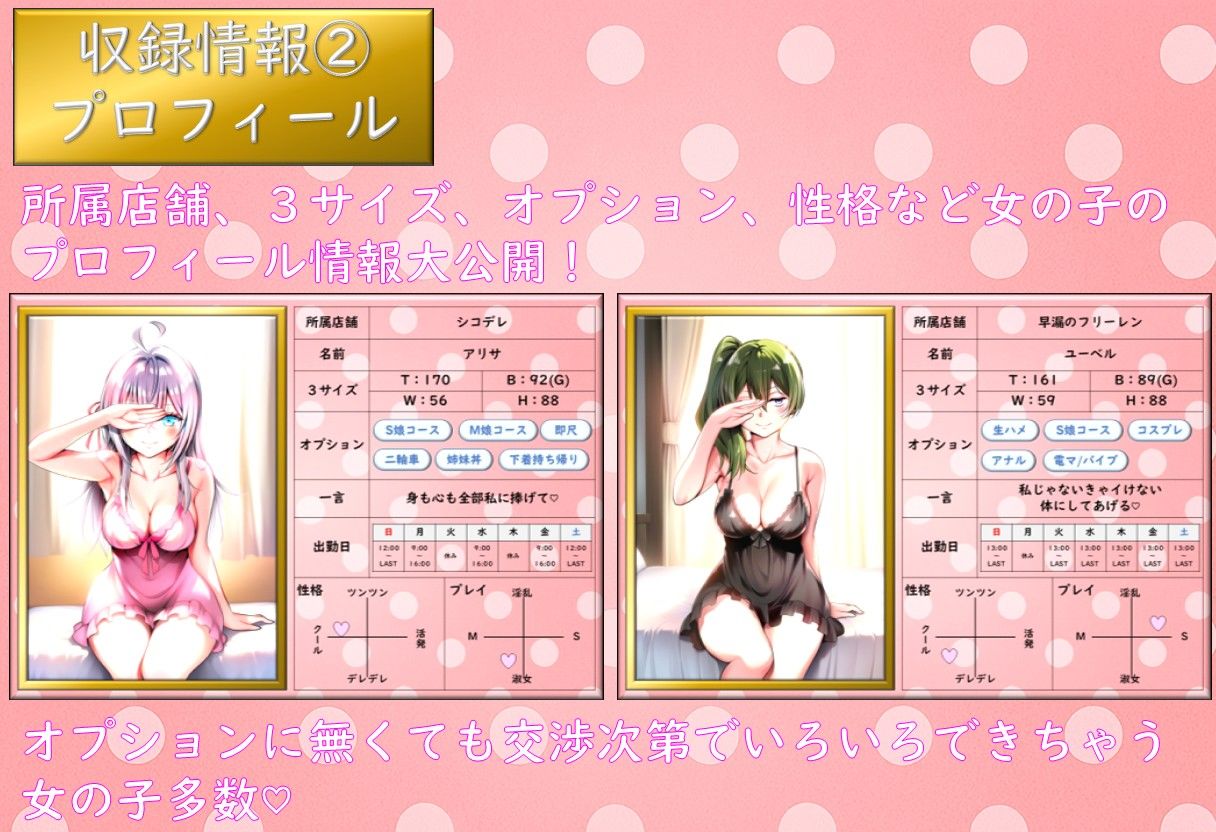 サンプル画像2:風俗嬢大図鑑(みくるすたじお) [d_561043]