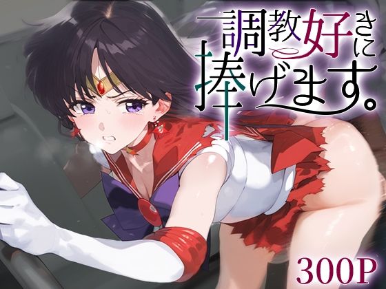調教好きに捧げます。セーラ○マーズ
