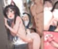 【259枚】猫ちゃんたちがうろつく街