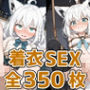 フブさん着衣HCG集350枚