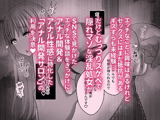 サンプル画像1:むっつりスケベで隠れマゾな淫乱処女がアナル開発サロンにドハマリする話(honey moon) [d_566645]