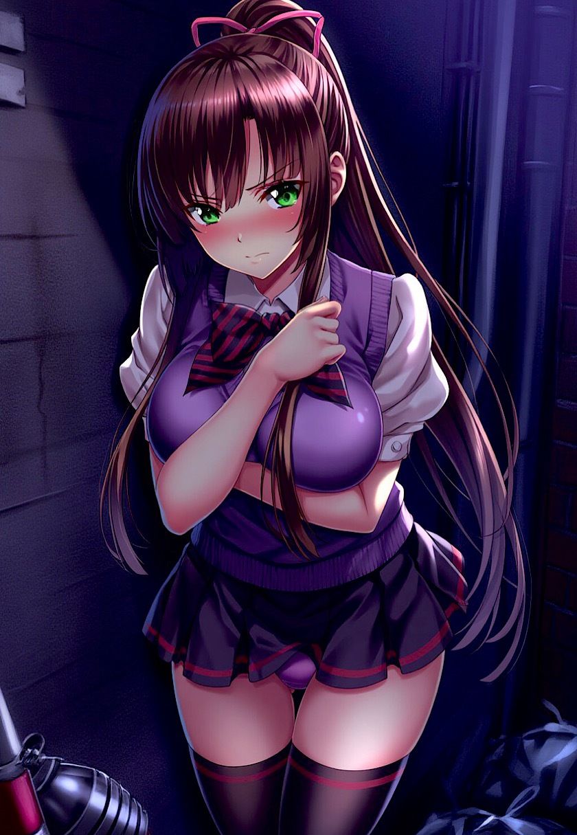 サンプル画像5:今日のおかず ストラ◯ク ザ ブラッド 煌◯ 紗矢華〜電車編＆路地裏編〜(イラスト18区) [d_566811]