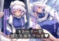 幻想郷交尾録〜レティ編〜