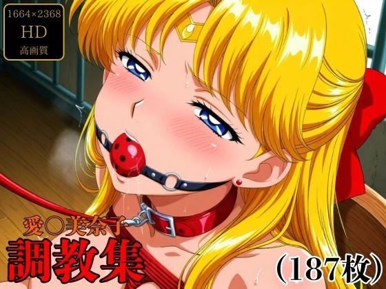 愛〇美奈子  調教集[調教奉行]