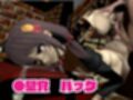 このすばからユンユン登場！黒人によるデカチンプレイから肉便器プレイまで動画4本も詰め合わせたお得動画総集編
