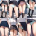 野外パンチラ盗撮2【500枚】