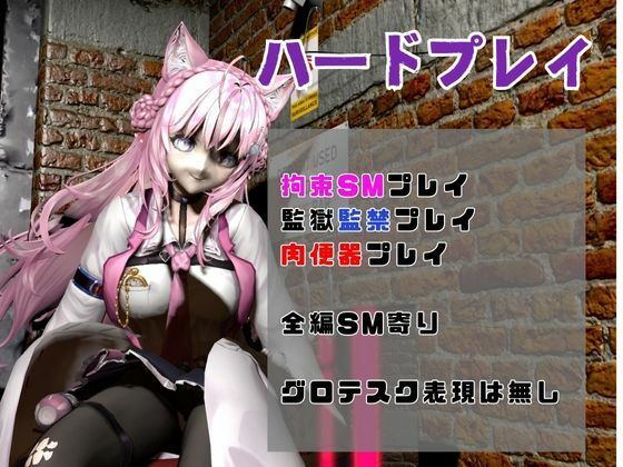 博衣こよりは研究熱心、SMや肉便器のハードプレイも研究しちゃう総集編【動画5本】 画像1