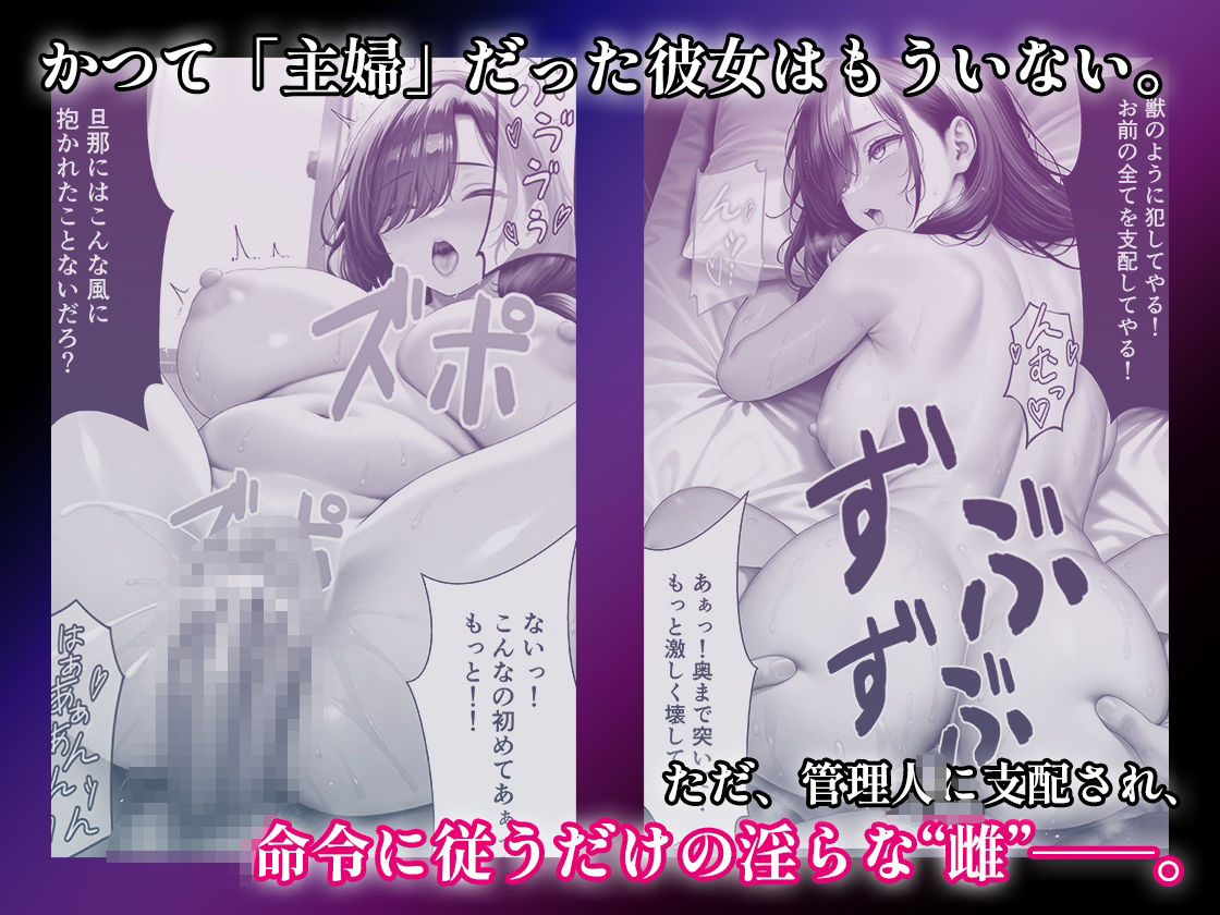 サンプル画像5:人妻調教マンションNo.2(妖艶なmamaさん) [d_570460]