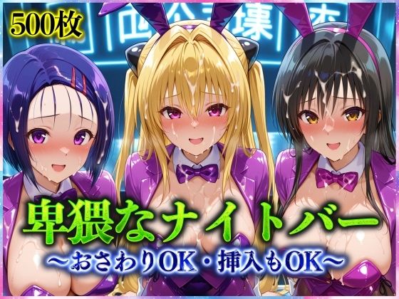 卑猥なナイトバー  〜おさわりOK・挿入もOK〜 Vol.1【アクメガール】