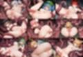 【500枚】触手東方III【23キャラ収録】