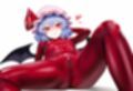【500枚】ラバースーツ東方【16キャラ収録】