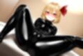 【500枚】ラバースーツ東方II【17キャラ収録】