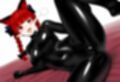 【500枚】ラバースーツ東方III【17キャラ収録】