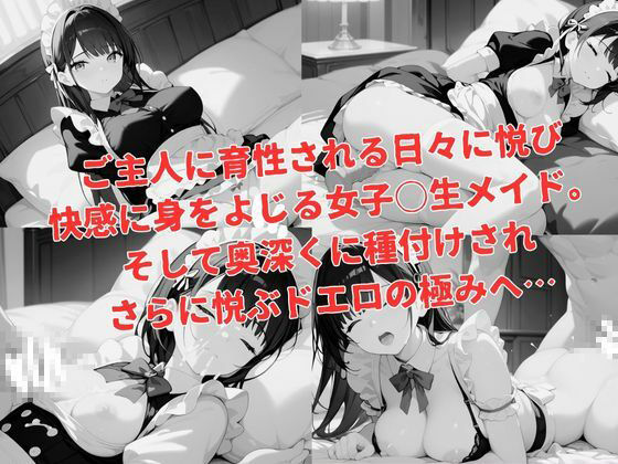忠実ドエロ欲情女子〇生メイドに種付けH 画像5