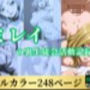 ミレイの裏生徒会活動記録