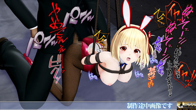 サンプル画像6:囚われのバニーガール・チサト闇カジノ潜入失敗・SM拷問・恥辱洗脳 ヒロインピンチMP4動画集vol.3(@OZ（アットオズ）) [d_572527]