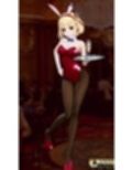 囚われのバニーガール・チサト闇カジノ潜入失敗・SM拷問・恥辱洗脳 ヒロインピンチMP4動画集vol.3