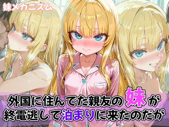 外国に住んでた親友の妹が終電逃して泊まりに来たのだが[妹メカニズム]