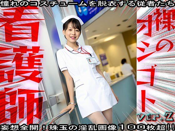 サンプル画像1:【裸のオシゴト】看護師・ナース 2(コスプレ天国) [d_573803]