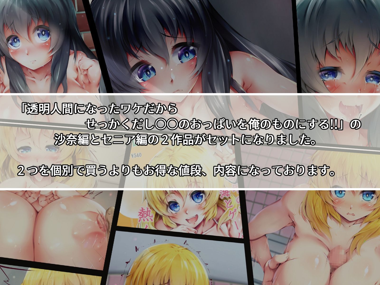 サンプル画像1:透明人間になったワケだから せっかくだし○○のおっぱいを俺のものにする！！ 沙奈＆セニア Wセット(ほわいとロケット) [d_574617]