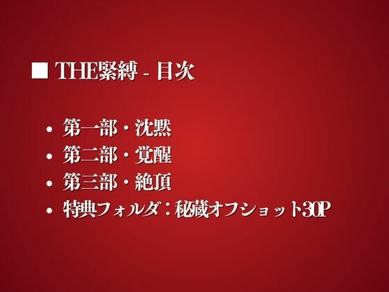 THE緊縛 画像2