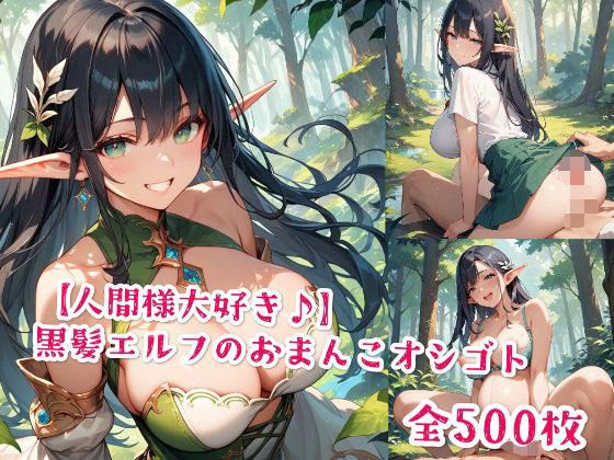 【人間様大好き♪】黒髪エルフのおまんこオシゴト【Jkと散歩】