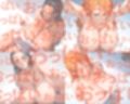 最高のおっぱい NAMI＆ROBIN