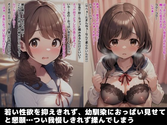 サンプル画像1:幼馴染におっぱい触らせてもらってそのまま生ハメ中出しで童貞卒業したった(さすけのけ) [d_577719]