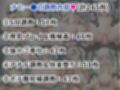 ナヒー●＆フリー●が敗北！ハード調教の全記録
