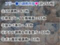 ナヒー●＆フリー●が敗北！ハード調教の全記録