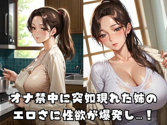 サンプル画像1:義姉連続中出し  義姉さんとヤりたかったんだ！(すたじおあいりす) [d_578215]