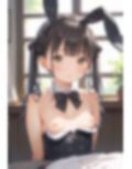 妹コレクション〜バニー・メイド・制服〜