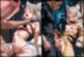 ヒロインシェア‐色んな男に好き放題犯●れるCG集‐ニア編