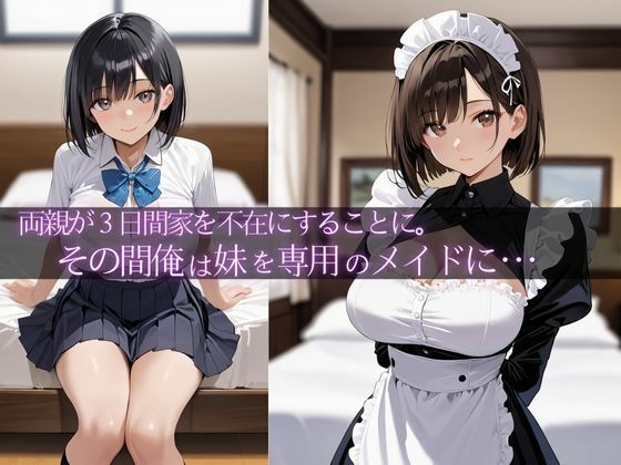マイホームオナペット〜両親のいない3日間、俺専用メイドにした〜 画像1