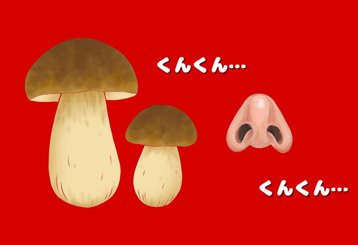 おち○ち○アレルギーのフランちゃん(くしゃみフェチ作品) 画像3