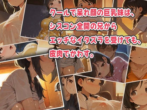 呆れ顔の巨乳妹と溺愛シスコン兄〜イタズラから始まるトロトロに疼く兄妹SEX〜 画像1