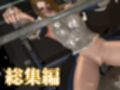 エルフのパラディンが黒人のデカチンに堕ちる動画総集編