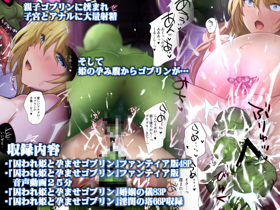 サンプル画像5:囚われ姫と孕ませゴブリン(斬鬼楼) [d_582735]