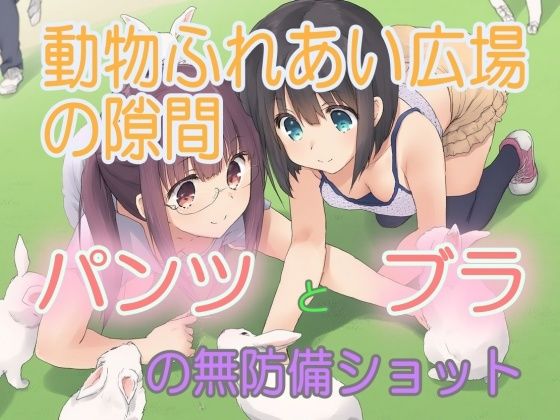 癒しと背徳感が交錯する広場の隙間を【動物ふれあい広場の隙間:パンツとブラの無防備ショット】　by　うさぎ温泉