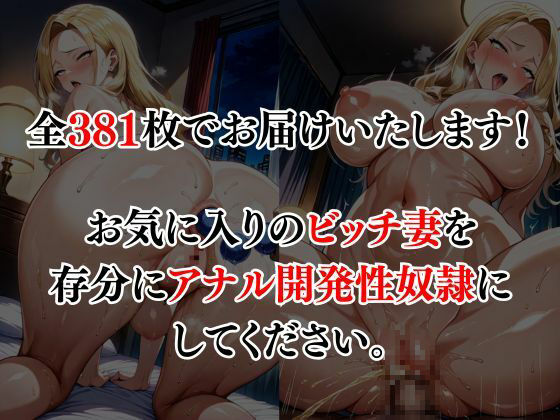 サンプル画像5:ギャル妻調教アナル支配(すたじおあいりす) [d_583457]