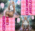 ミルコとミッドナイトを着せ替え縛って無責任膣内出しする話 画像1