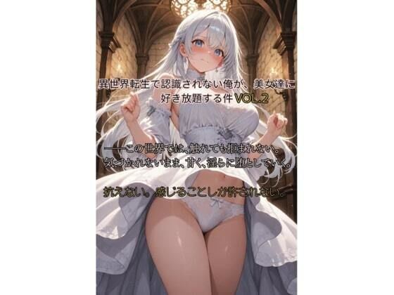 異世界転生で認識されない俺が、美女達に好き放題する件 vol2【Aimagination】