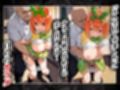 私達を卒業させて下さい〜中野四葉篇〜