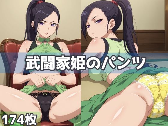 武闘家姫のパンツ【五本木ポメ】