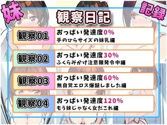 サンプル画像9