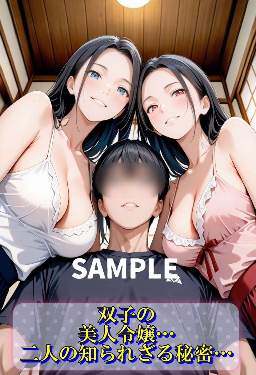 サンプル画像1:双子令嬢の隠された性癖日記(Trident（トライデント）) [d_587619]