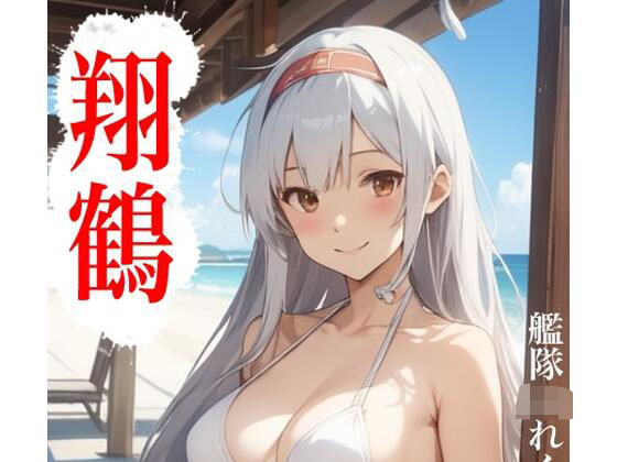 虹かけ誌  艦隊〇れくしょん  イラスト集27 翔鶴
